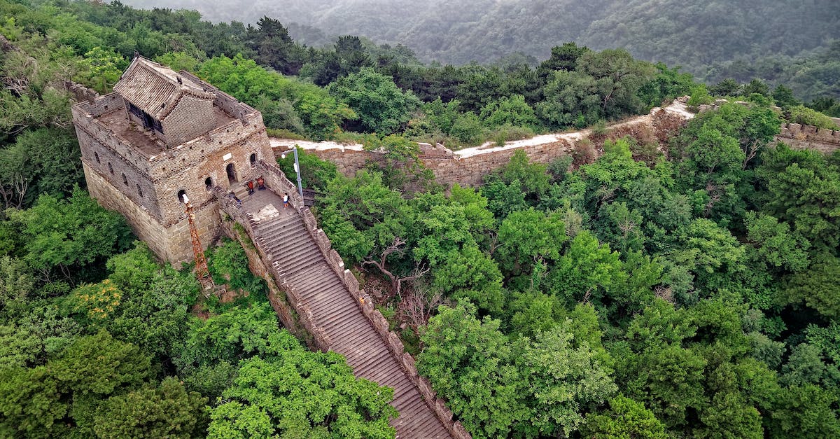 Chaneller's Trident Buff increase after reinforcing? - Brown Concrete Wall Surrounded By Trees Chaneller's Trident Buff increase after reinforcing? - Brown Concrete Wall Surrounded By Trees