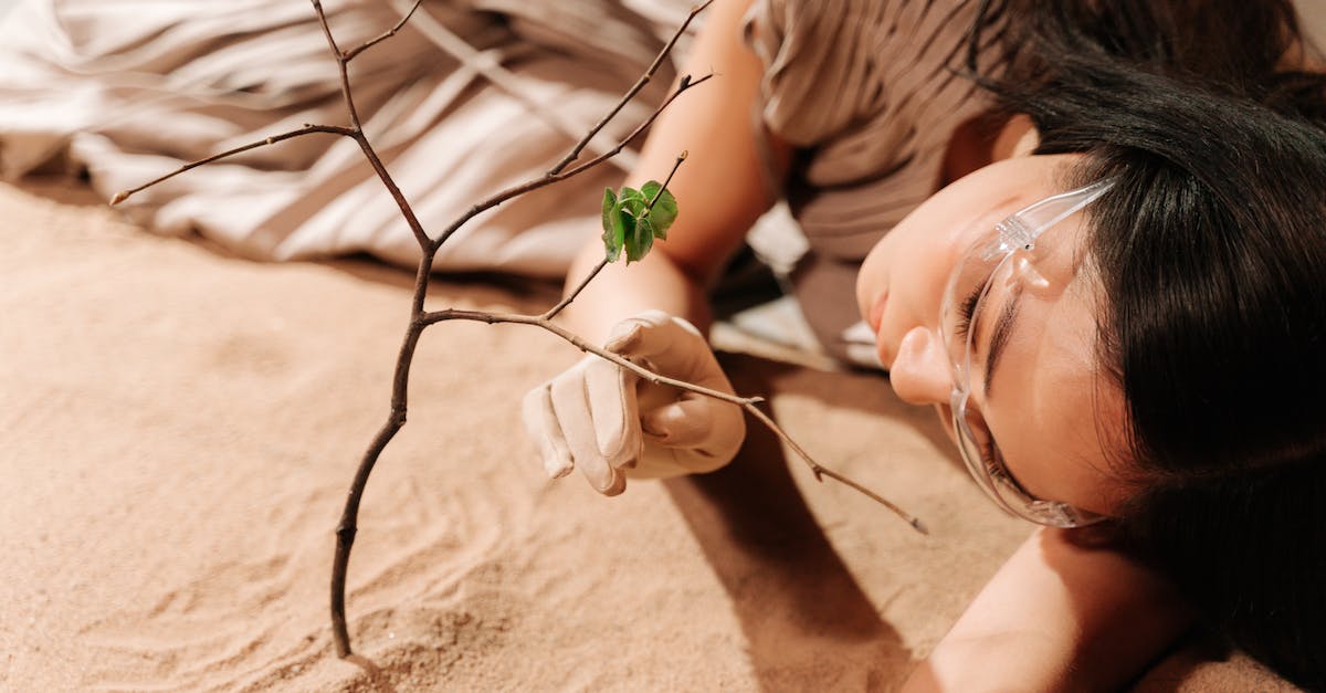 Change default skin on spawn - Free stock photo of beach, climate change, conceptual