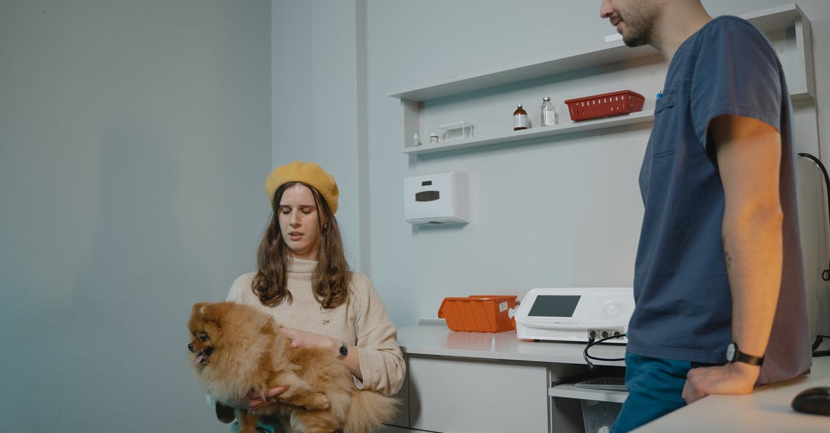 Checking earned companion perks? - A Woman Carrying a Pomeranian Dog while Sitting on the Chair Near a Man in Blue Uniform