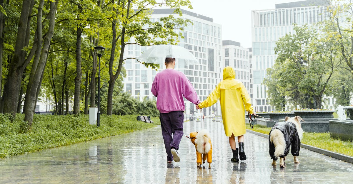 Checking earned companion perks? - Free stock photo of care, child, couple