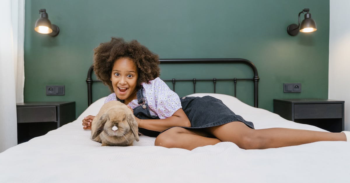 Children happiness factor - Woman in Blue and White Dress Lying on Bed With Brown Short Coated Dog Children happiness factor - Woman in Blue and White Dress Lying on Bed With Brown Short Coated Dog
