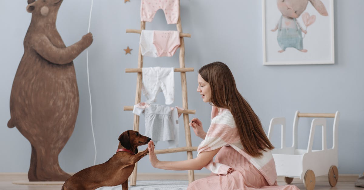 Chop the dog - What is training for? - A Pregnant Woman Training Her Dog Chop the dog - What is training for? - A Pregnant Woman Training Her Dog