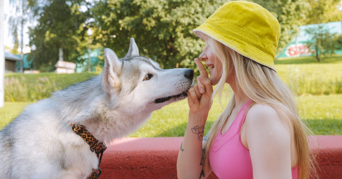 Chop the dog - What is training for? - A Woman Training Her Dog Chop the dog - What is training for? - A Woman Training Her Dog