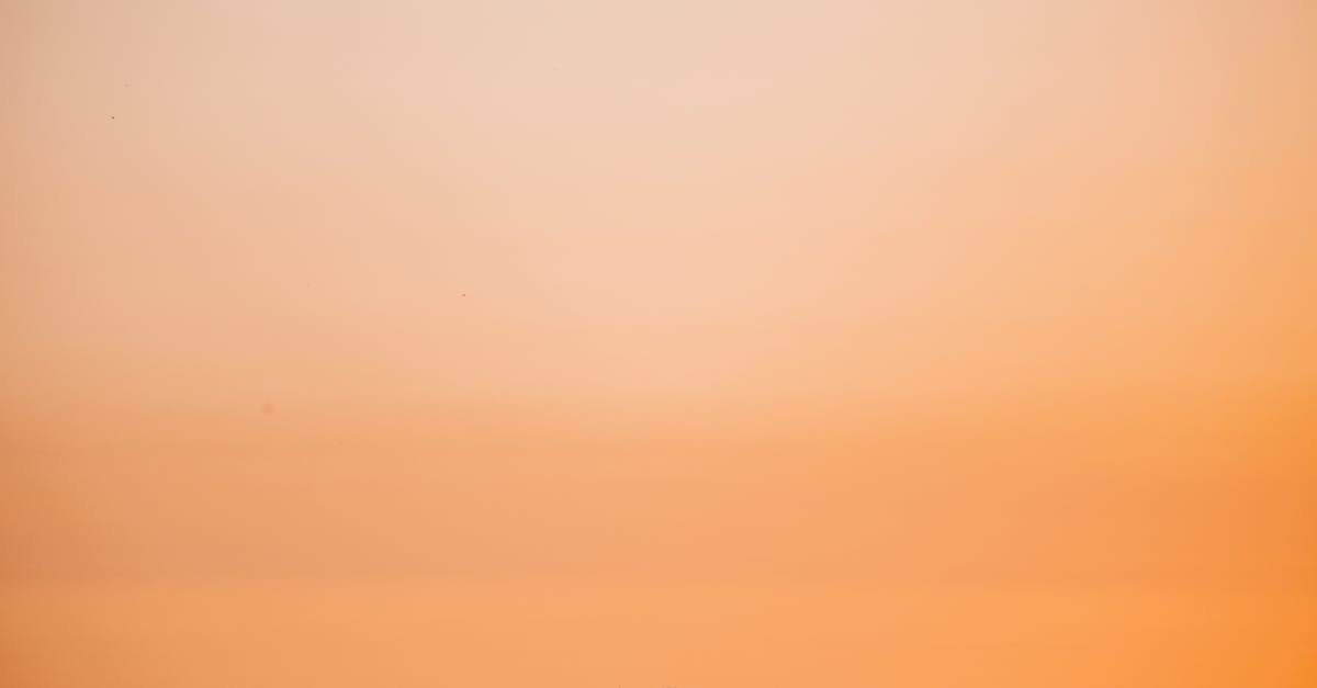 Cities Skylines Assets - View of an Urban Skyline at Sunset