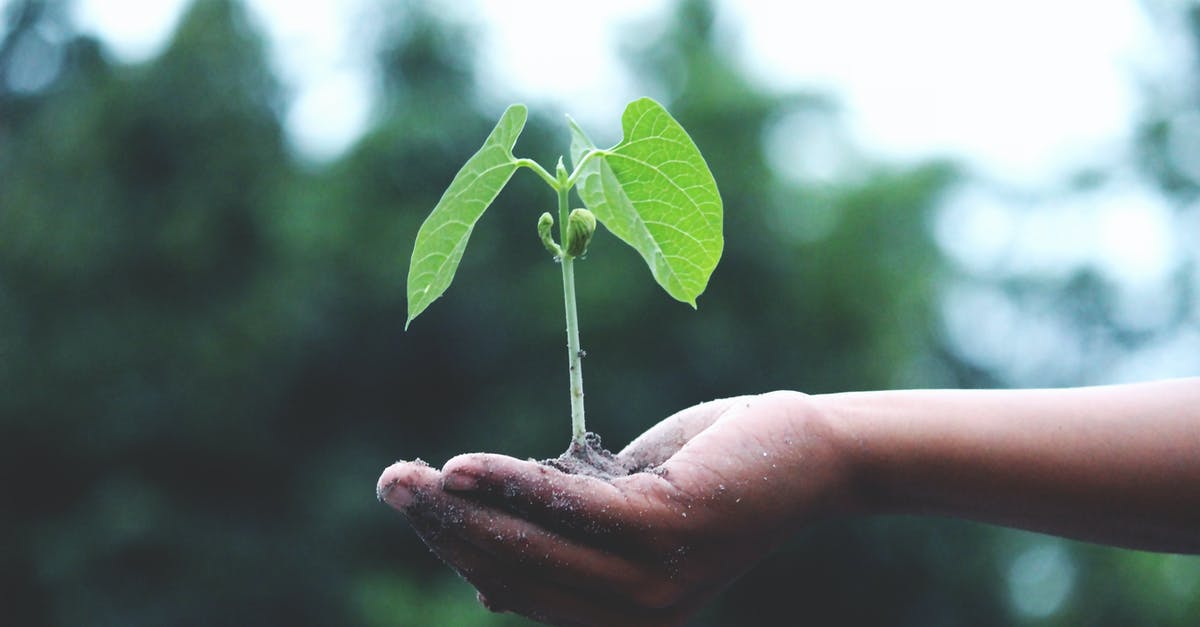 Civ: Beyond Earth Pitboss? - Person Holding A Green Plant Civ: Beyond Earth Pitboss? - Person Holding A Green Plant