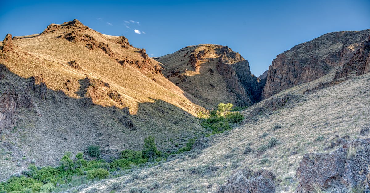 Clash of Clans Algorithm for random trees/bushes - Breathtaking view of dry valley covered in random shrubs and sand against blue sky in sunny weather in daylight in highlands