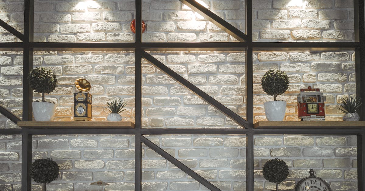 Clock with 2 different times - Different clocks with ornament and potted plants on wooden shelves near rough wall illuminated by shiny lamps in house Clock with 2 different times - Different clocks with ornament and potted plants on wooden shelves near rough wall illuminated by shiny lamps in house