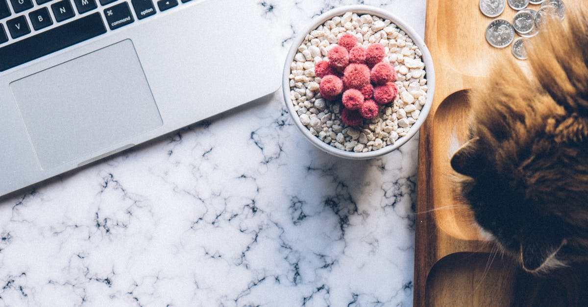 Coins displaying as popsicles? - Laptop on Marble Countertop Coins displaying as popsicles? - Laptop on Marble Countertop