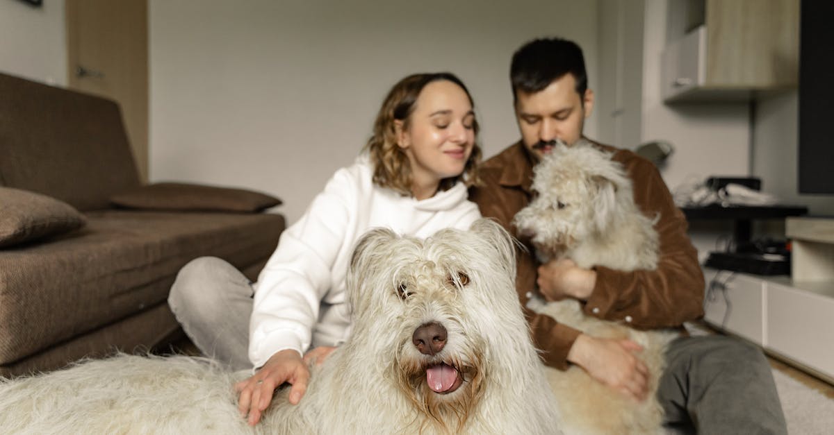 Colossatron & Mr. Cuddles - A Couple Sitting on the Carpet with Their Dogs