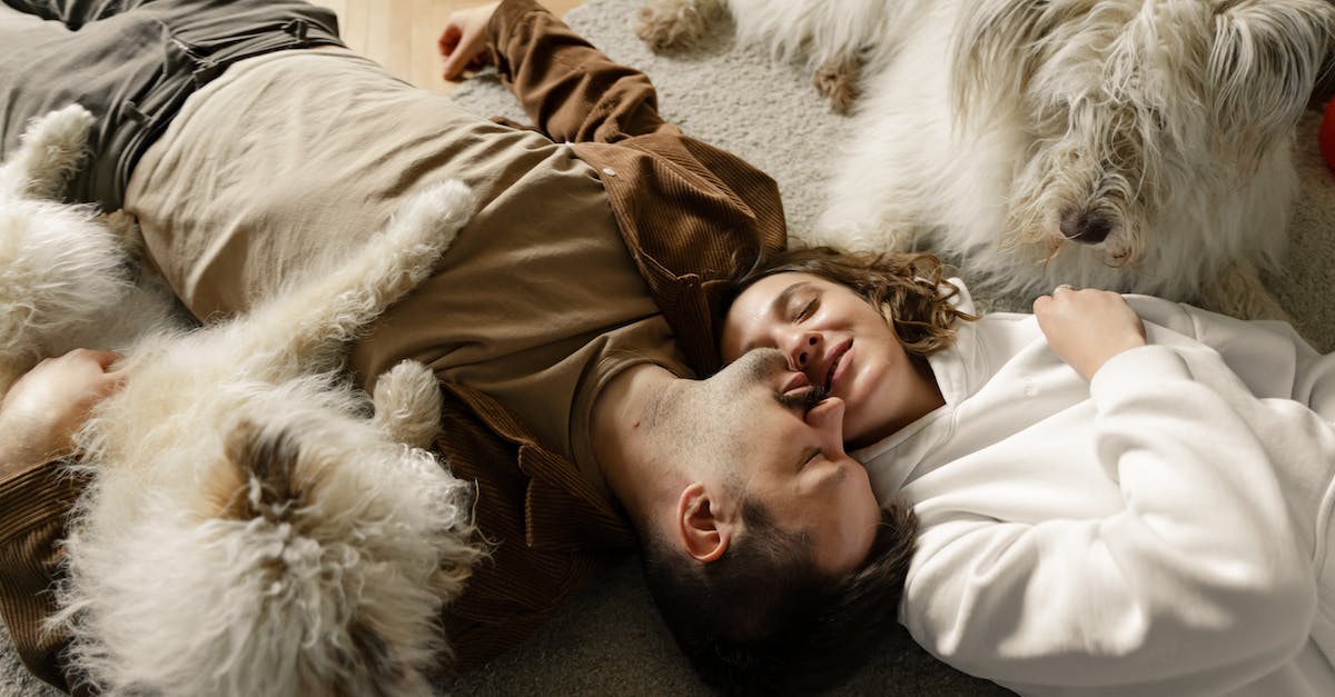 Colossatron & Mr. Cuddles - A Couple with Dogs Lying on the Carpeted Floor