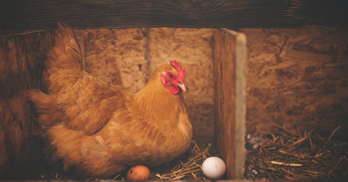Command to create chicken which doesn't lay eggs - Brown Hen Near White Egg on Nest