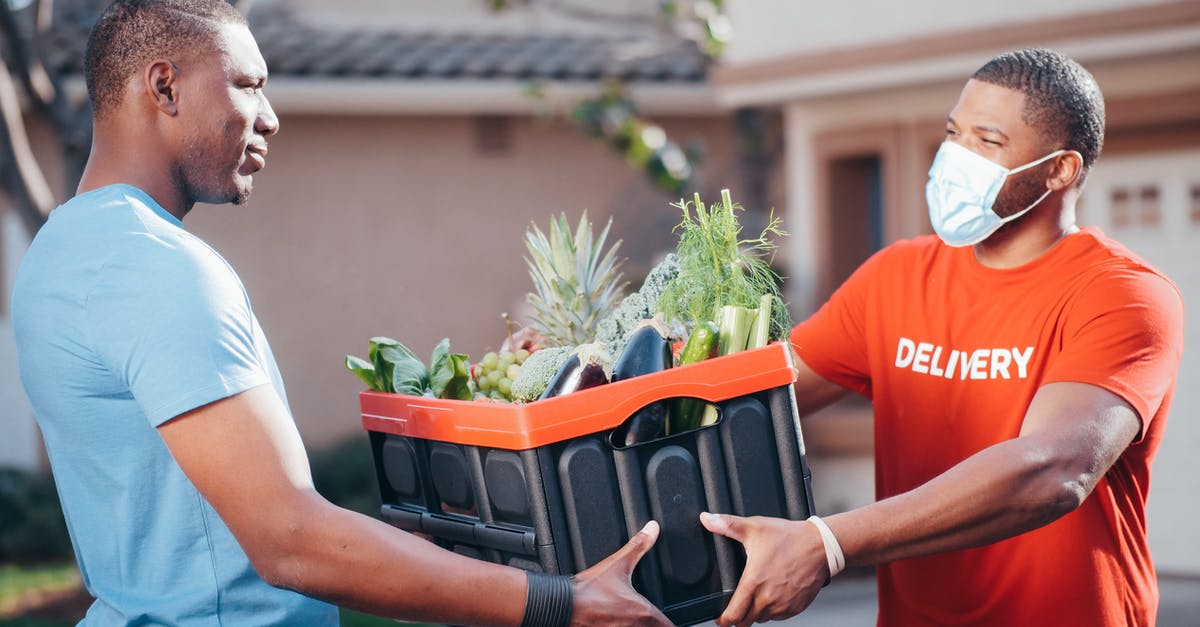 Commands Work Then Don't Work - Person in Red T-shirt Holding Green Plant Commands Work Then Don't Work - Person in Red T-shirt Holding Green Plant