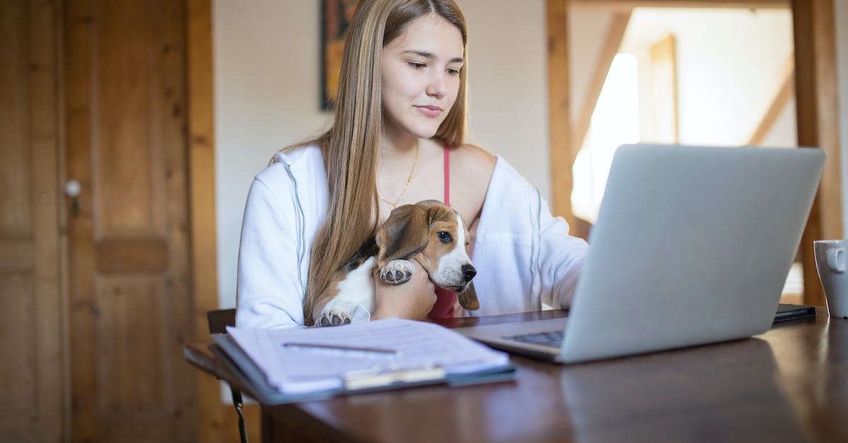 Companion's Insight not working - A Woman Using a Laptop with a Dog on Her Lap Companion's Insight not working - A Woman Using a Laptop with a Dog on Her Lap