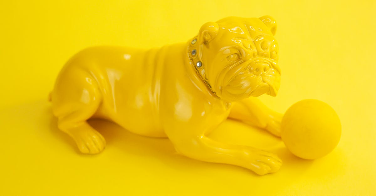 Companion leaving and losing items - Statuette of yellow dog and ball Companion leaving and losing items - Statuette of yellow dog and ball
