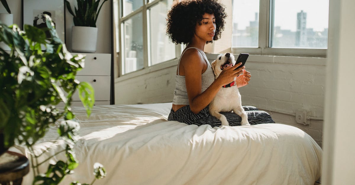 Companion quests when not using companions? - Side view of young ethnic female watching cellphone while sitting on bed with dog at home