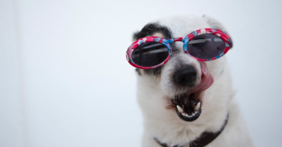 Companions in Novigrad's Arena? - Close-Up Photo of Dog Wearing Sunglasses