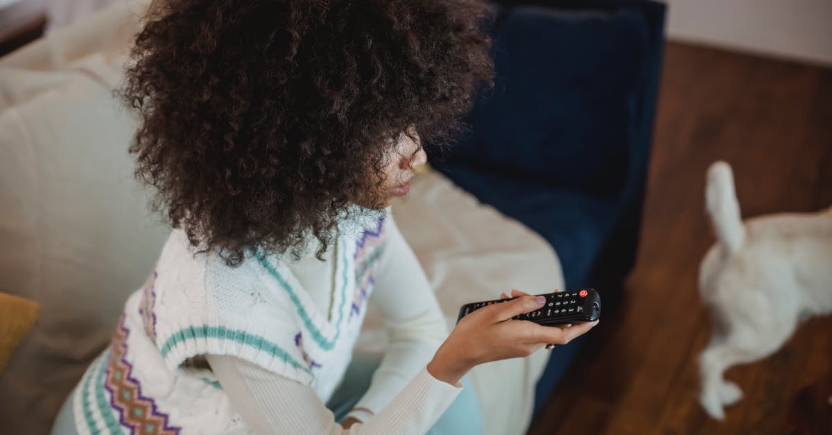 Connecting a Wii to a HD TV using coloured pins - From above of focused young black woman with Afro hair in casual outfit sitting on sofa with remote controller in hand and watching TV during weekend at home with dog