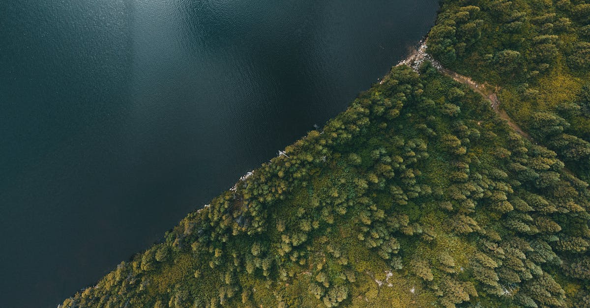 Constant crashes near Whiterun - Aerial View of Sea Near Vast Field of Trees