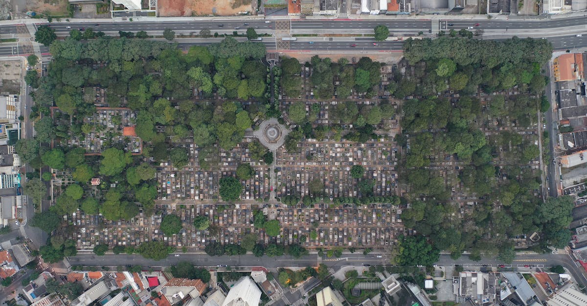 Contested Territory on iOS Bloons City - Aerial top view of spacious lush city district surrounded by modern skyscrapers in urban metropolis downtown