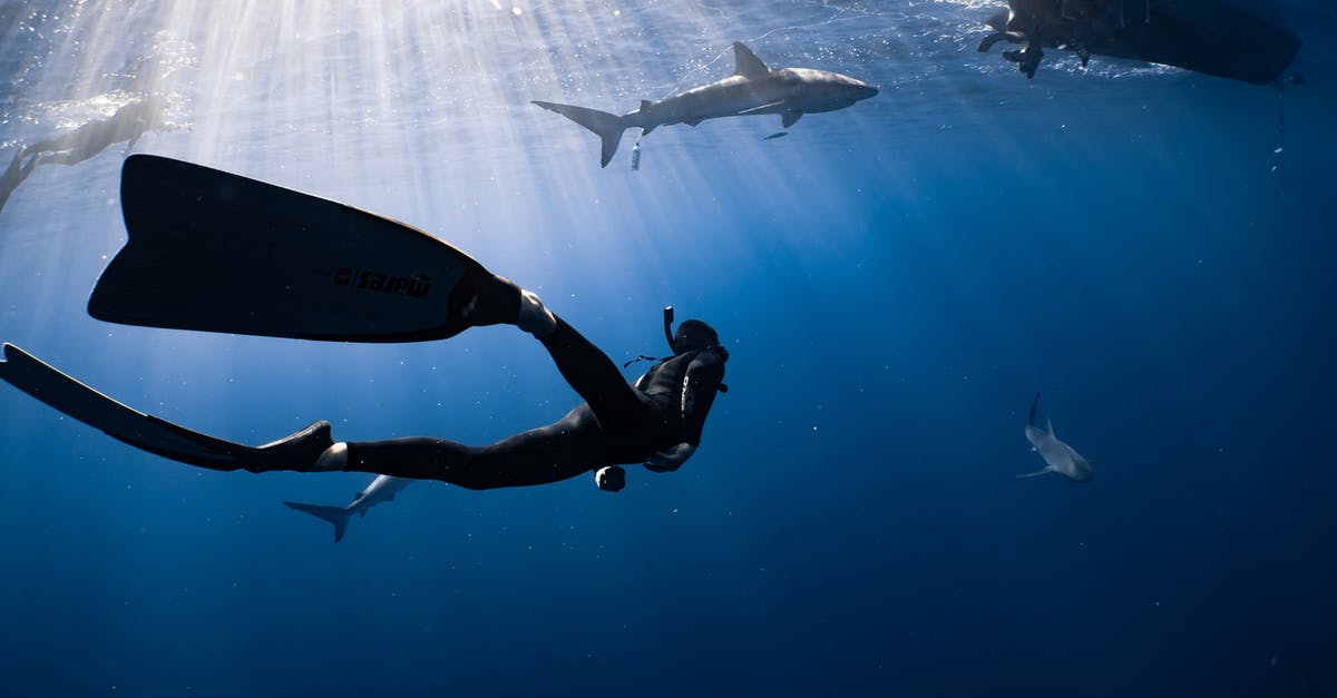 Correct flipped boat in Stranded Deep - Full body anonymous diver wearing wetsuit and flippers swimming in dark blue seawater near big fish