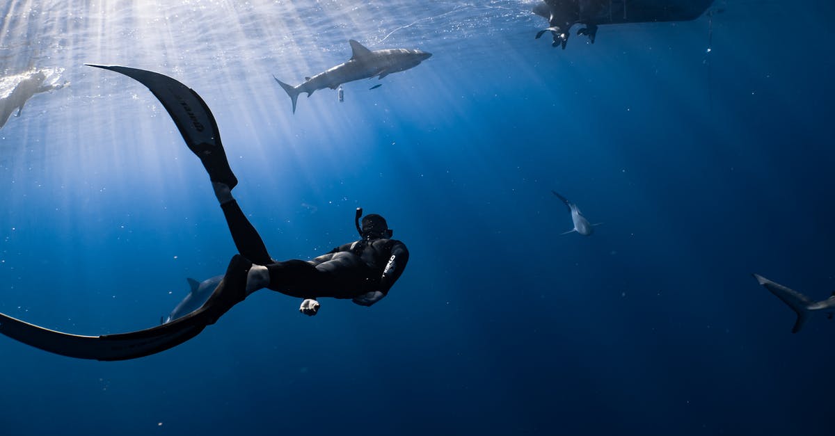 Correct flipped boat in Stranded Deep - Anonymous diver swimming undersea near big fish