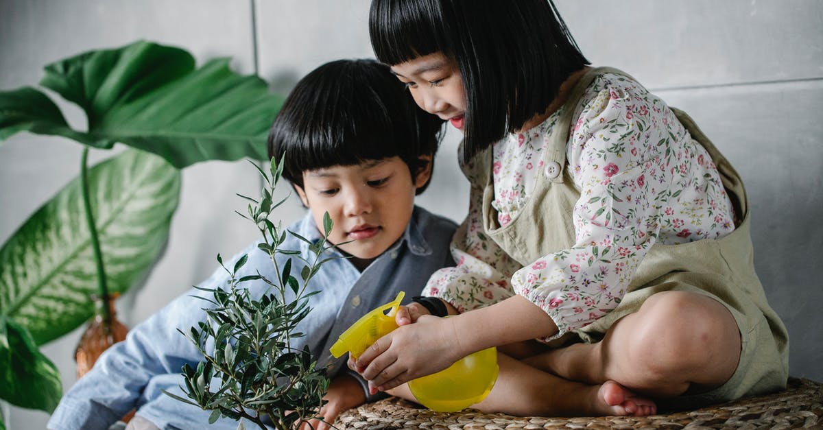 Counter Little Mac KO Punch - Cute Asian brother and sister taking care of green plant and spraying it with bottle Counter Little Mac KO Punch - Cute Asian brother and sister taking care of green plant and spraying it with bottle