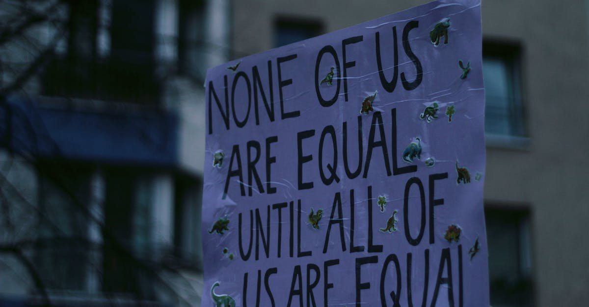 Counter Strike In-Game Text Not Showing up - A Placard on Equality in Close Up Photography