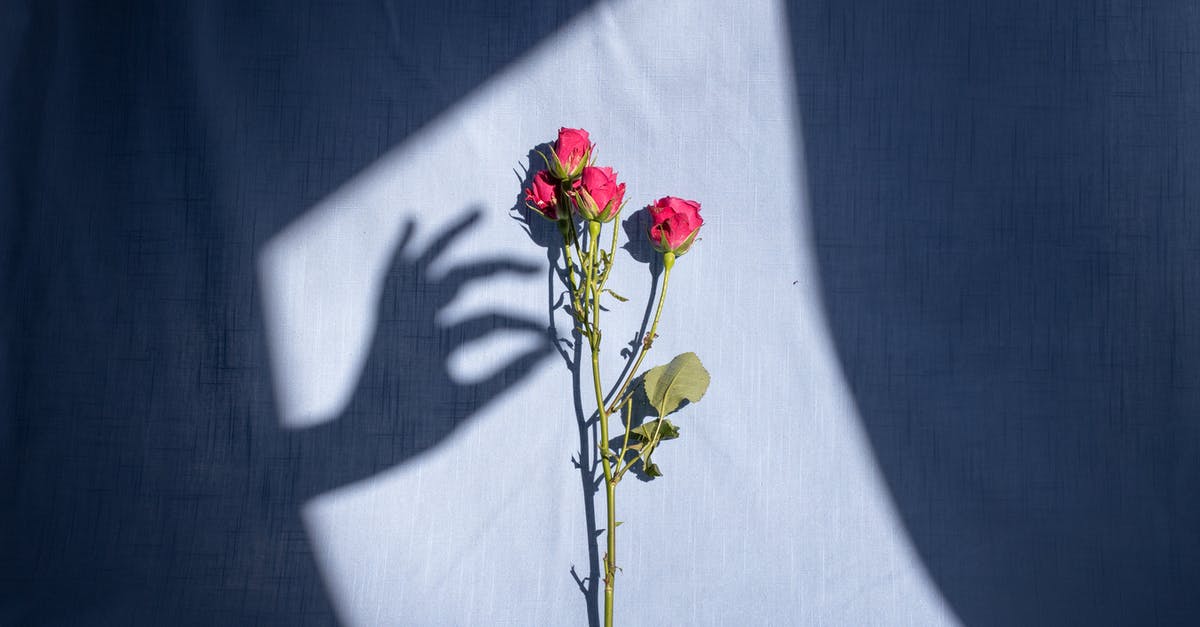 Crash/freeze during car chase in Lair of the Shadow Broker (Mass Effect 2) - Composition of graceful female hand shadow touching tender red bush rose branch placed on blue textile in bright sunlight Crash/freeze during car chase in Lair of the Shadow Broker (Mass Effect 2) - Composition of graceful female hand shadow touching tender red bush rose branch placed on blue textile in bright sunlight