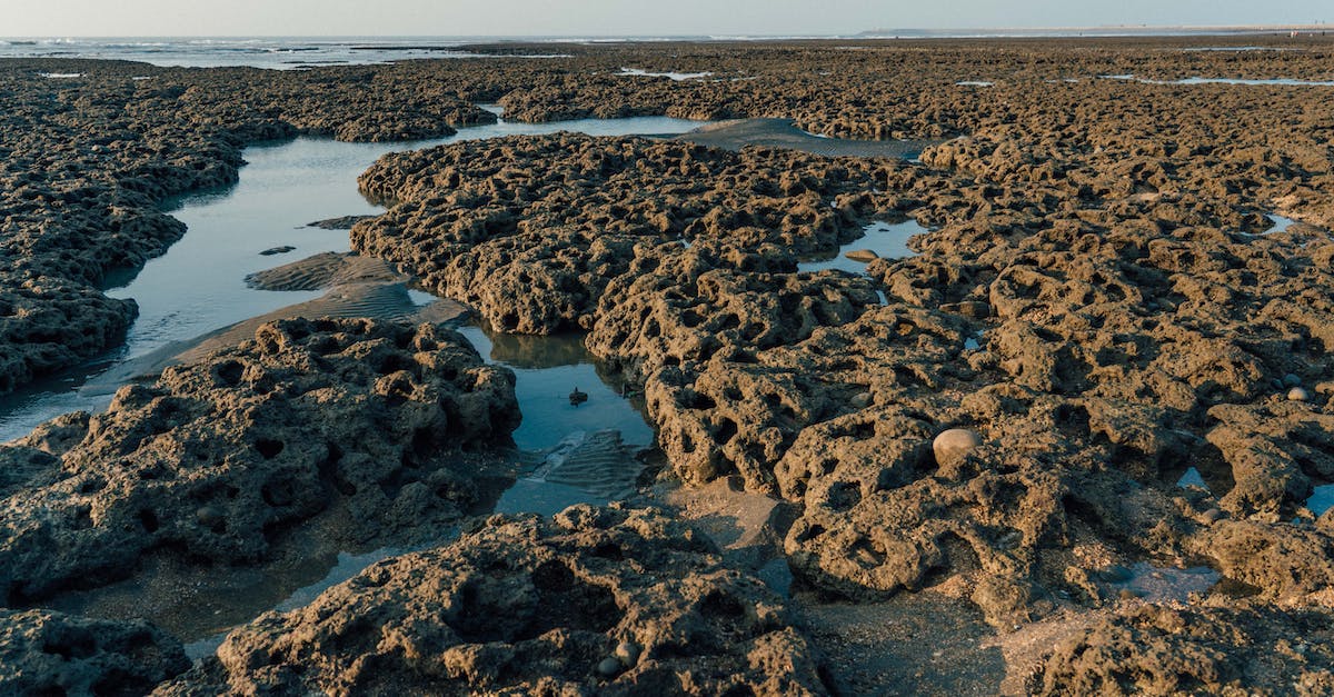 Creeper Holes - Minecraft - Brown and Black Rocks on Blue Water Under Blue Sky
