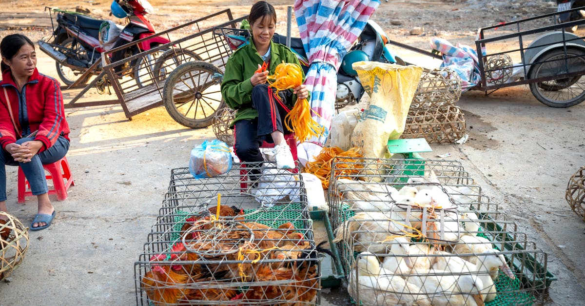 Custom Villager with potions as trade - Asian women working on local market on street Custom Villager with potions as trade - Asian women working on local market on street