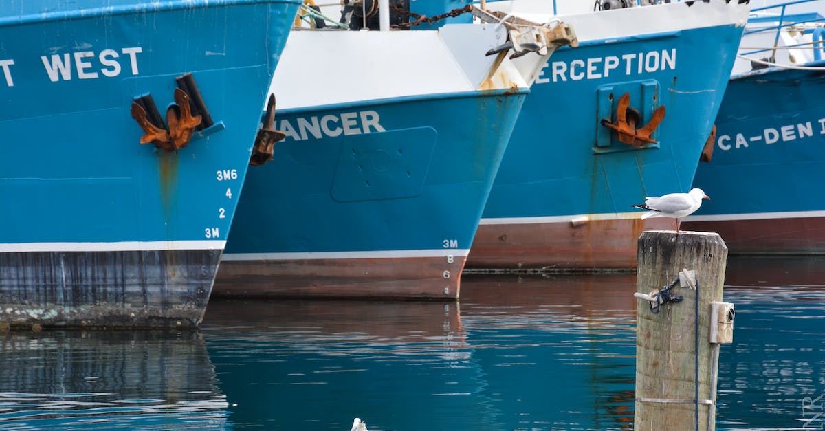 Damaging Piloting on Automated ships - White and Blue Ship on Dock