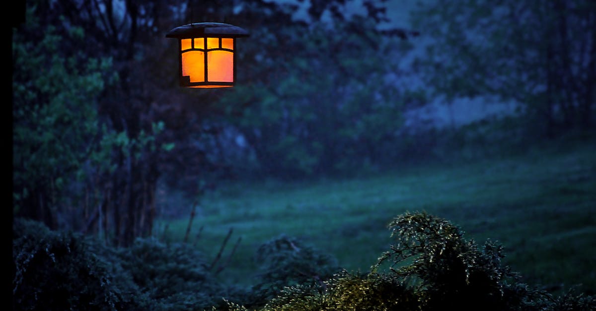 Dark Oak Trees are not growing even though all requirements are met - Selective Focus Photography of Turned-on Black Metal Framed Light Sconce