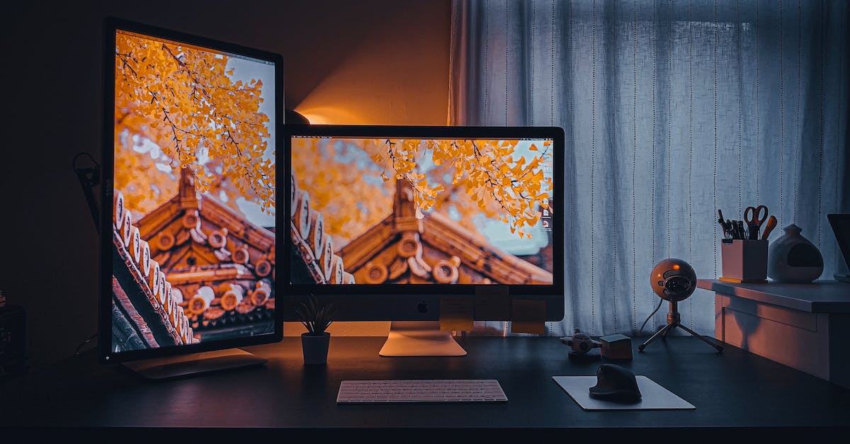 Dark Souls 1 executable has stopped working - Two Turned-on Flat Screen Computer Monitors on Desk Dark Souls 1 executable has stopped working - Two Turned-on Flat Screen Computer Monitors on Desk