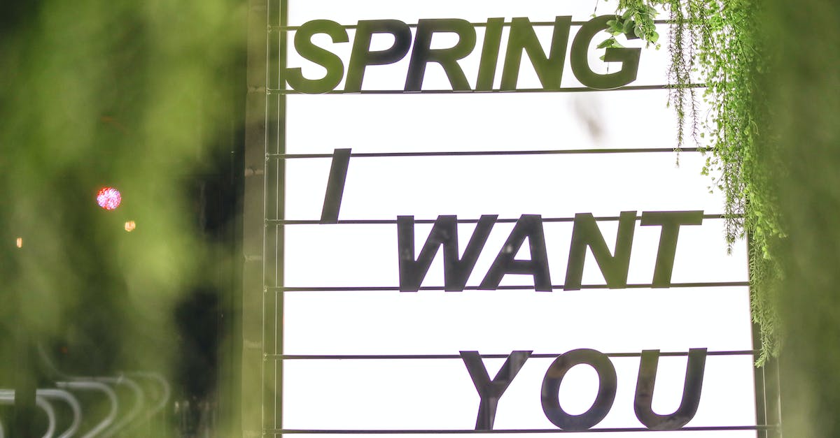 Dark Souls: PTDE-How do I duplicate? - Sign glowing in white light consisting of several compartments with black inscription Spring I Want You surrounded by blurred green plants in evening on street Dark Souls: PTDE-How do I duplicate? - Sign glowing in white light consisting of several compartments with black inscription Spring I Want You surrounded by blurred green plants in evening on street