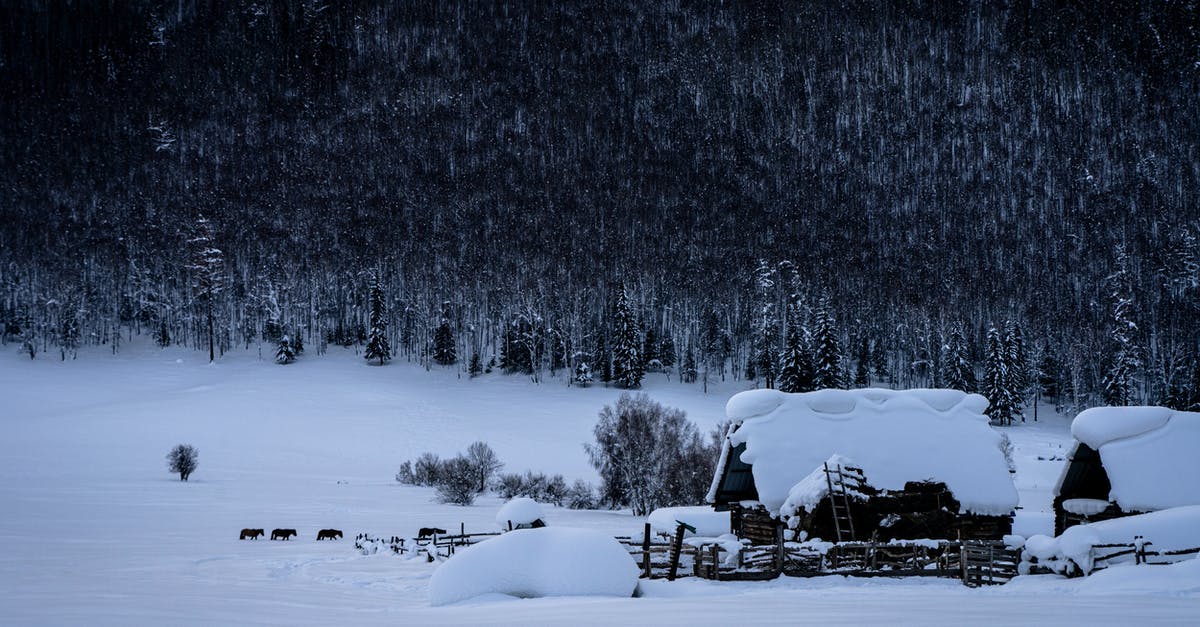 Darksiders 2 freezing - Snow Covered Field and Trees Darksiders 2 freezing - Snow Covered Field and Trees