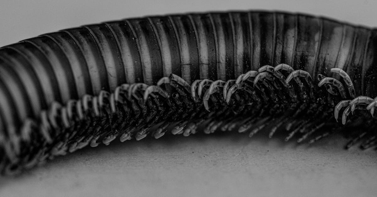 Day of the Tentacle Remastered iOS Lavergne Bug - Closeup of small caterpillar on ground Day of the Tentacle Remastered iOS Lavergne Bug - Closeup of small caterpillar on ground