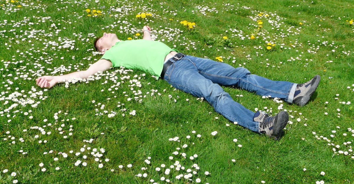 Dead npc won't respawn - High Angle View of Lying Down on Grass Dead npc won't respawn - High Angle View of Lying Down on Grass