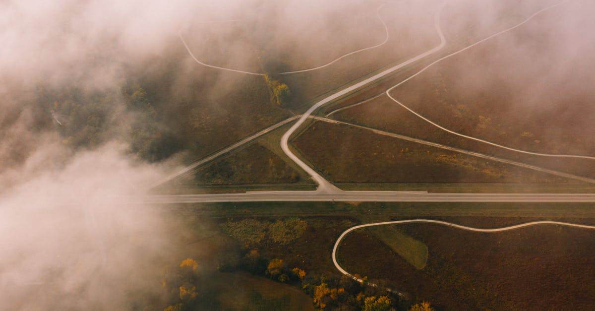 Delete files from steam cloud - Wavy roads between green trees in foggy weather Delete files from steam cloud - Wavy roads between green trees in foggy weather