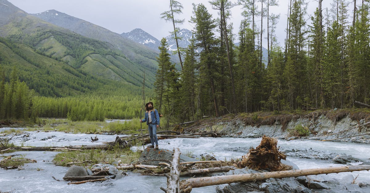 Demon Fusion in SMT: Strange Journey - A Man Standing on the Rocky River Near the Green Trees on Mountain