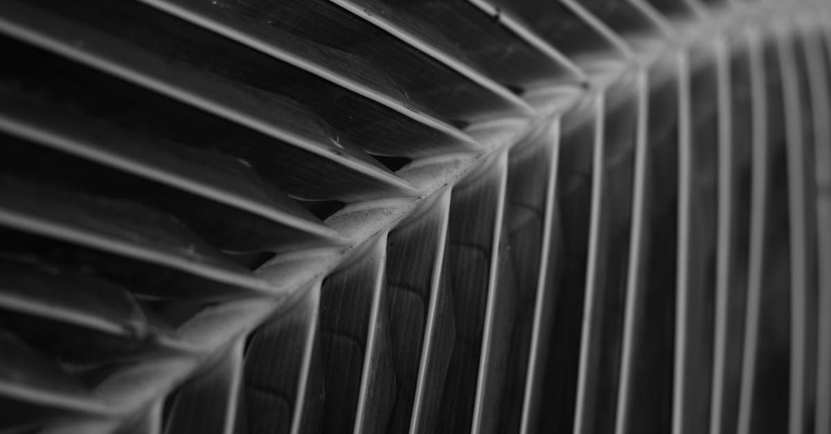 Detect for *crushed plants* - Grayscale Photo of a Metal Frame Detect for *crushed plants* - Grayscale Photo of a Metal Frame