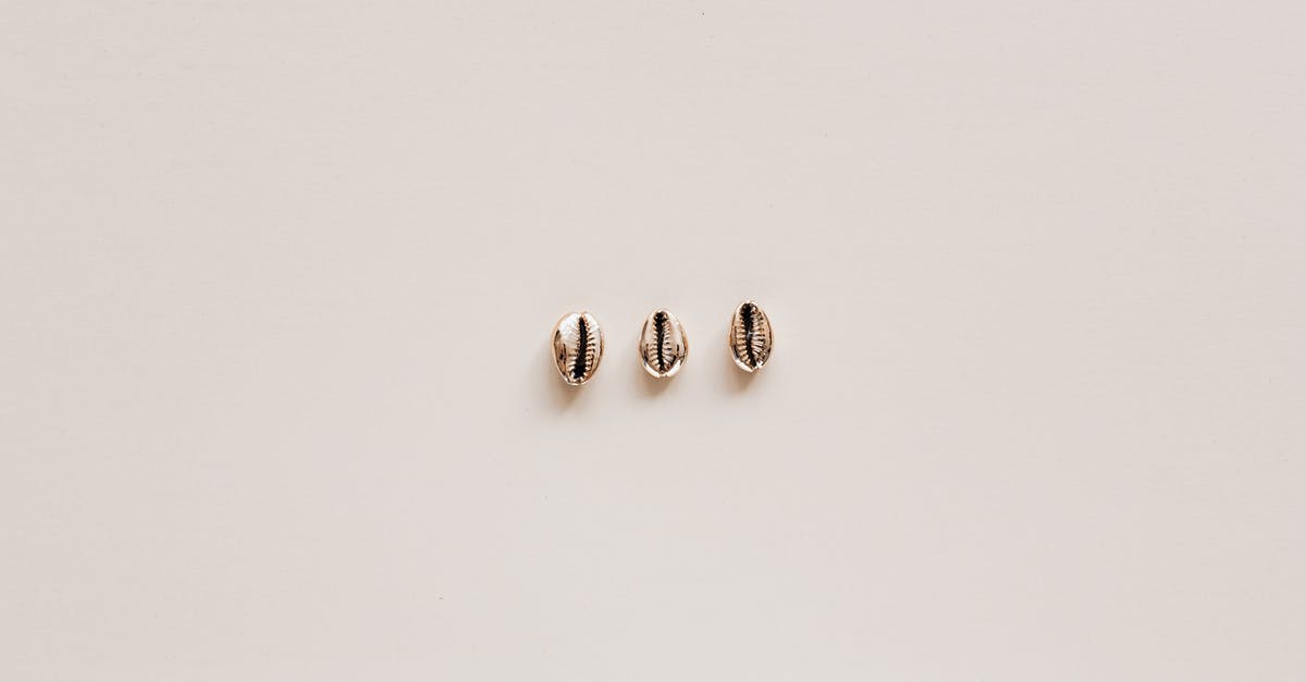 Did minecraft pe from android is the same with ios? [duplicate] - Set of conchs on beige surface