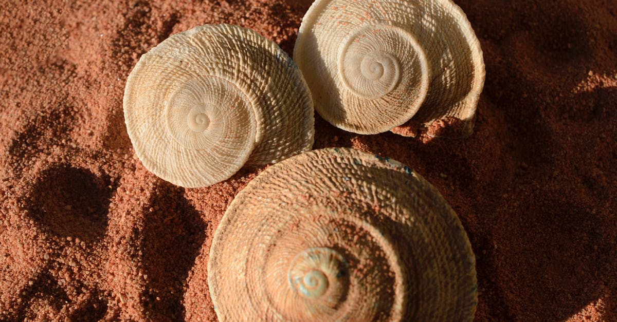 Difference between incendiary and normal shotguns shells in Tomb Raider? - Brown and Green Seashell on Brown Sand Difference between incendiary and normal shotguns shells in Tomb Raider? - Brown and Green Seashell on Brown Sand