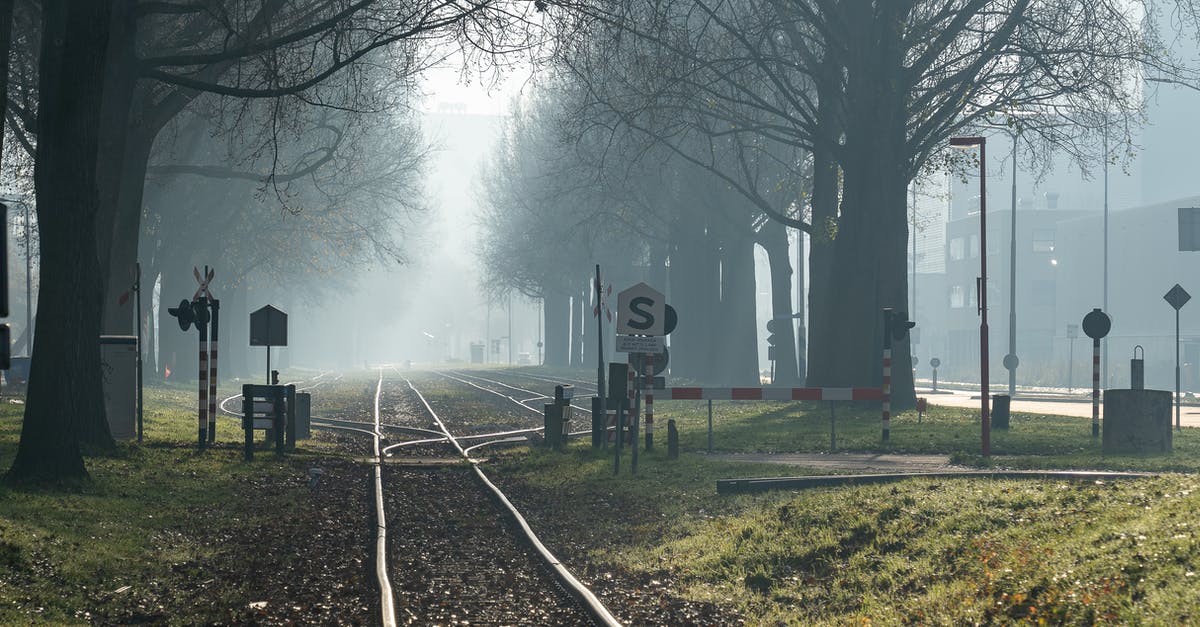 Difference between Skimmer and Rocketeer? - Black Train Rail Near Bare Trees during Foggy Day
