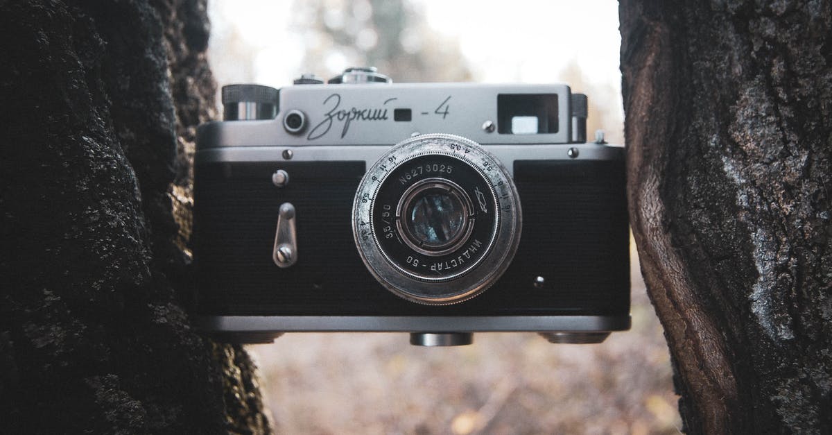 Differences between "stasis" and "stopped"? - Retro Camera Wedged Between Trees Differences between "stasis" and "stopped"? - Retro Camera Wedged Between Trees