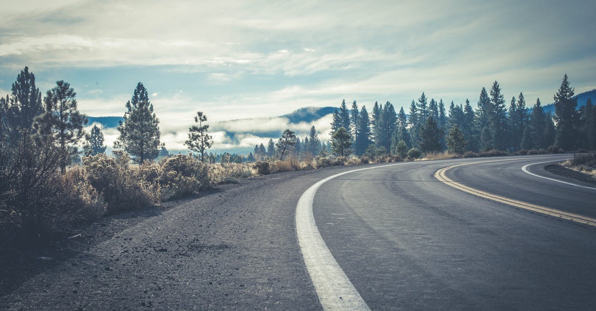 Dirt is turning into grass - Gray Concrete Road Near Forest Dirt is turning into grass - Gray Concrete Road Near Forest