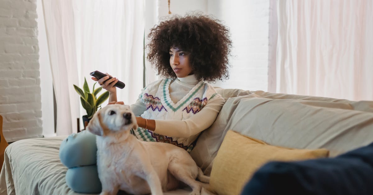 Disabling switch online rewind function - Relaxed young African American woman watching TV on sofa and caressing dog