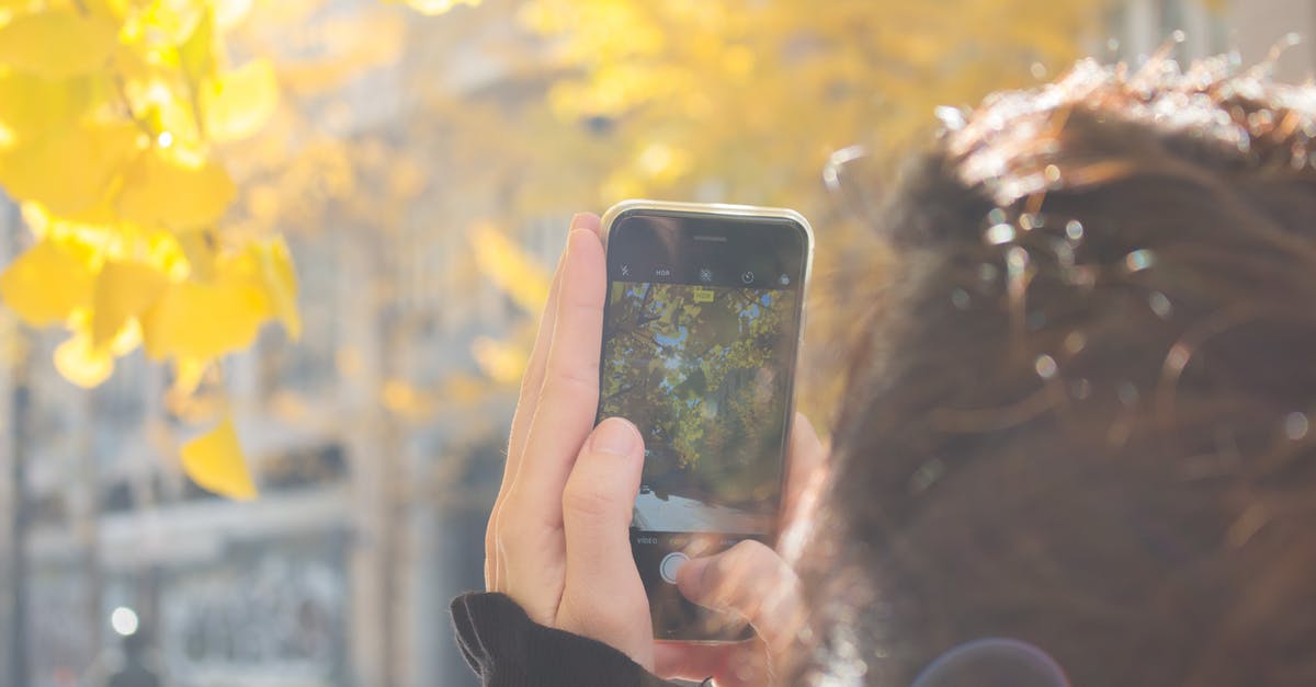 Display armor as an item in head slot - Man Wearing Black Jacket Using Iphone Taking Picture of Green Leaf Tree