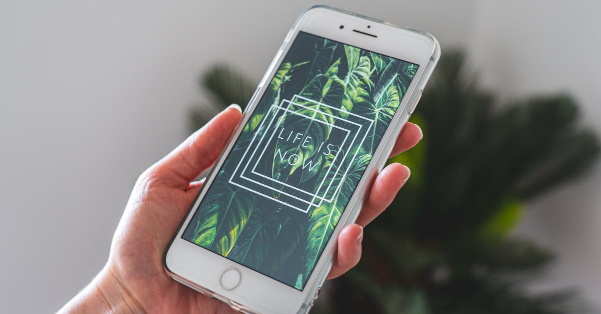 Displaying sidebar scores of entities with CutomName - Hand Holding Phone Displaying Plant Wallpaper Displaying sidebar scores of entities with CutomName - Hand Holding Phone Displaying Plant Wallpaper