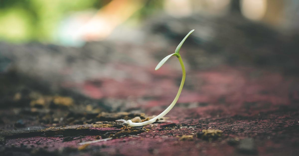 Do Adrenaline and Hope stack? - Shallow Focus of Sprout
