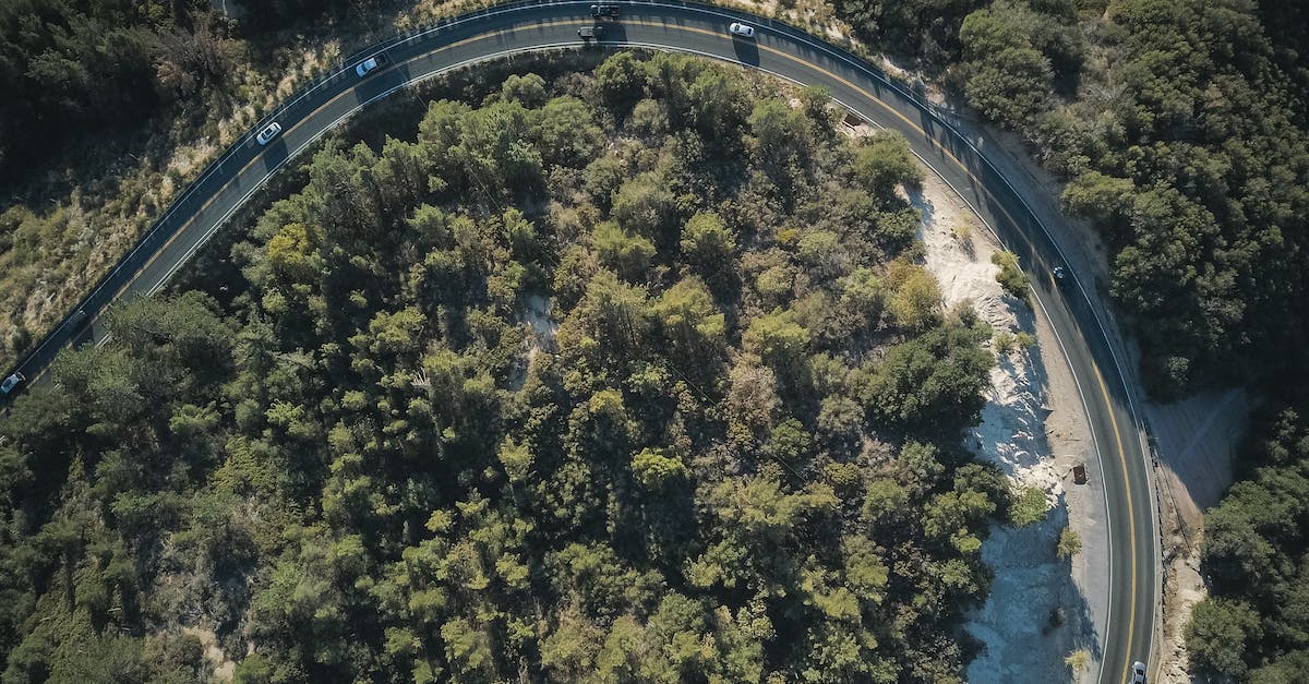 Do AI cars "cheat"? - Free stock photo of aerial shot, bird eye view, blue water
